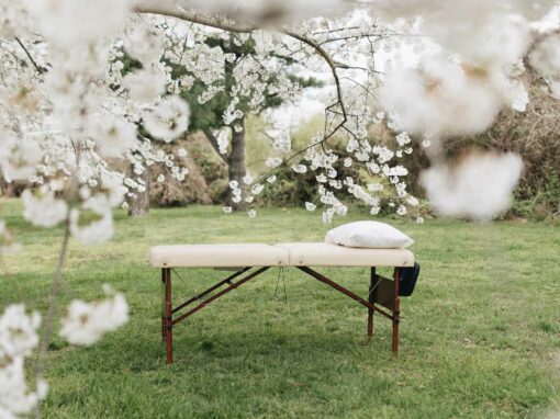 What is Traditional Chinese Medicine—And How Does it Work?