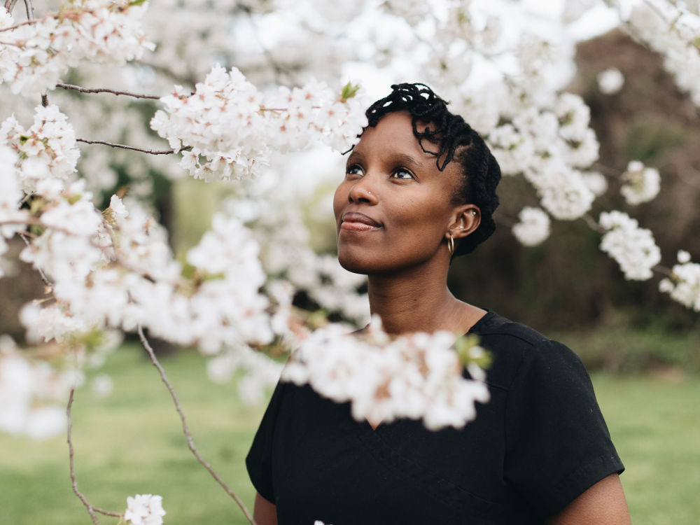 Cherry Blossom Season in Washington DC Woman gazing at Cherry Blossom's