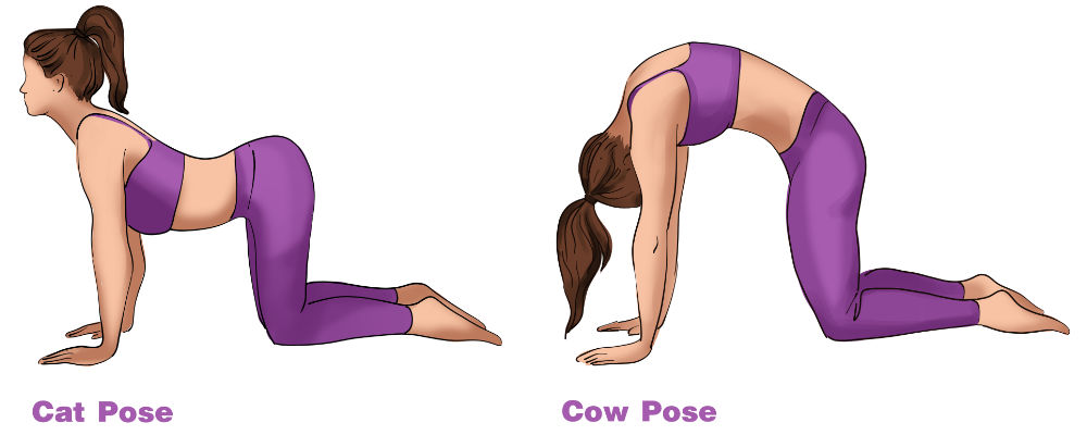 Illustration of a woman doing the Cat-Cow yoga pose