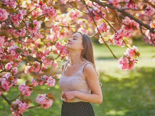 Treating Allergies with Acupuncture, Herbal Medicine, and TCM Wisdom
