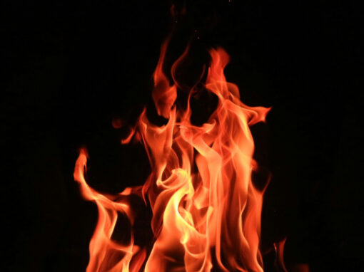 Why you Should Eat More Warm, Cooked Foods